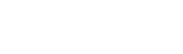 Next Global Headhunting Logo